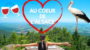 Plaisirs d'Alsace - Munster - Colmar - Route du vin